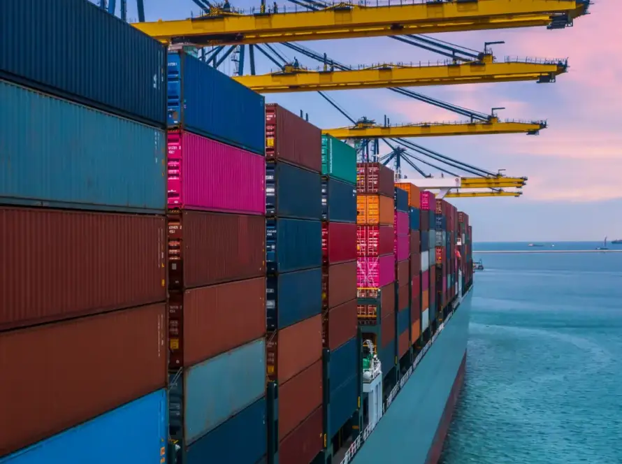 Goyal Explores Indian Shipping Opportunities