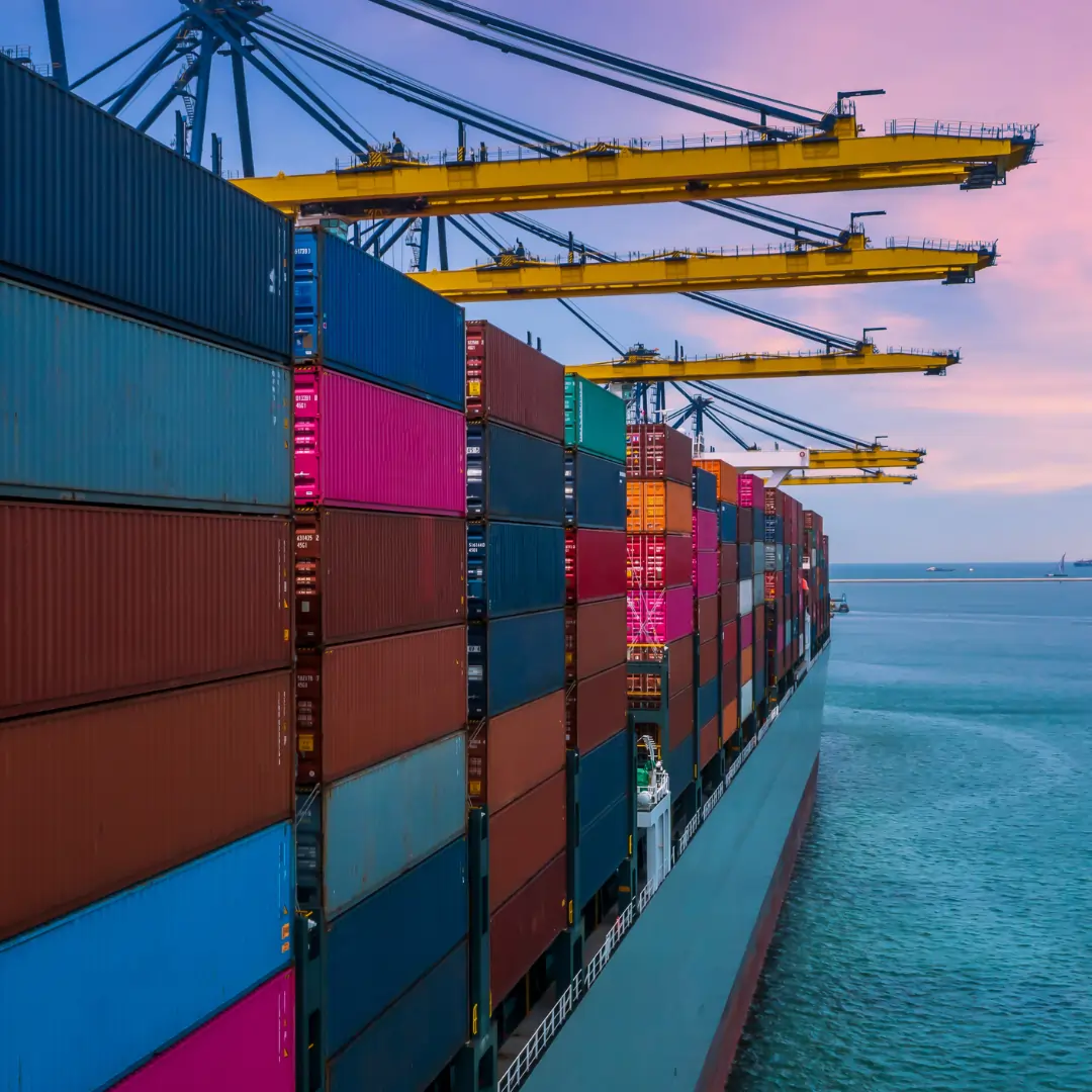 Goyal Explores Indian Shipping Opportunities