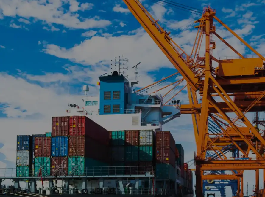 India Developing Alternative Supply Chains