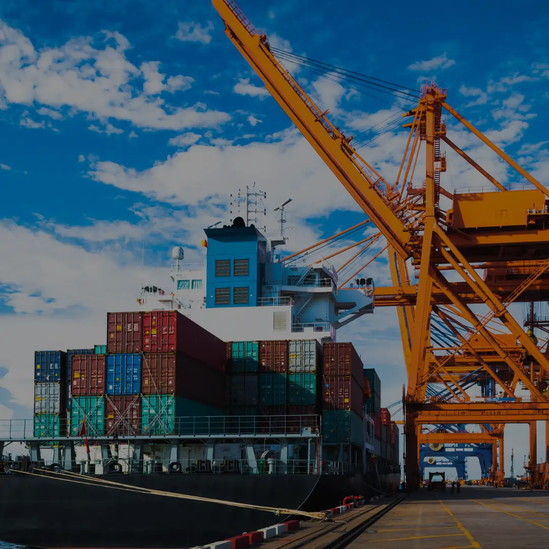 India Developing Alternative Supply Chains