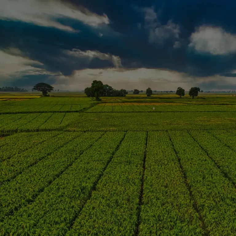 Goyal Stresses Need for Resilient Supply Chains