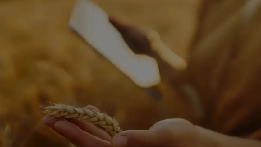 Goyal Stresses Need for Resilient Supply Chains