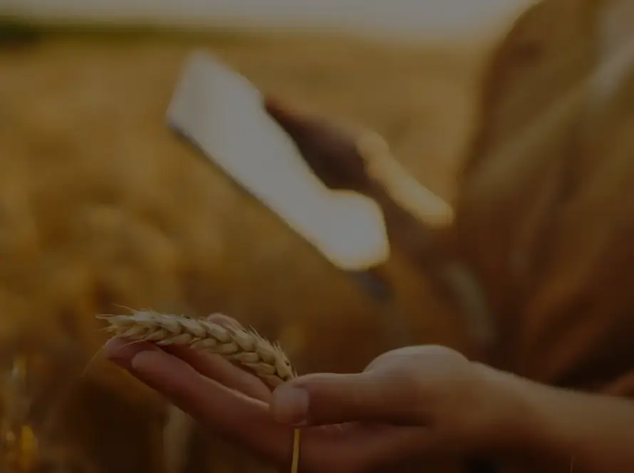 Goyal Stresses Need for Resilient Supply Chains