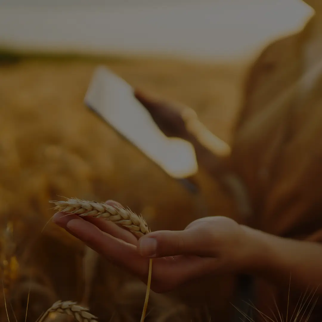 Goyal Stresses Need for Resilient Supply Chains