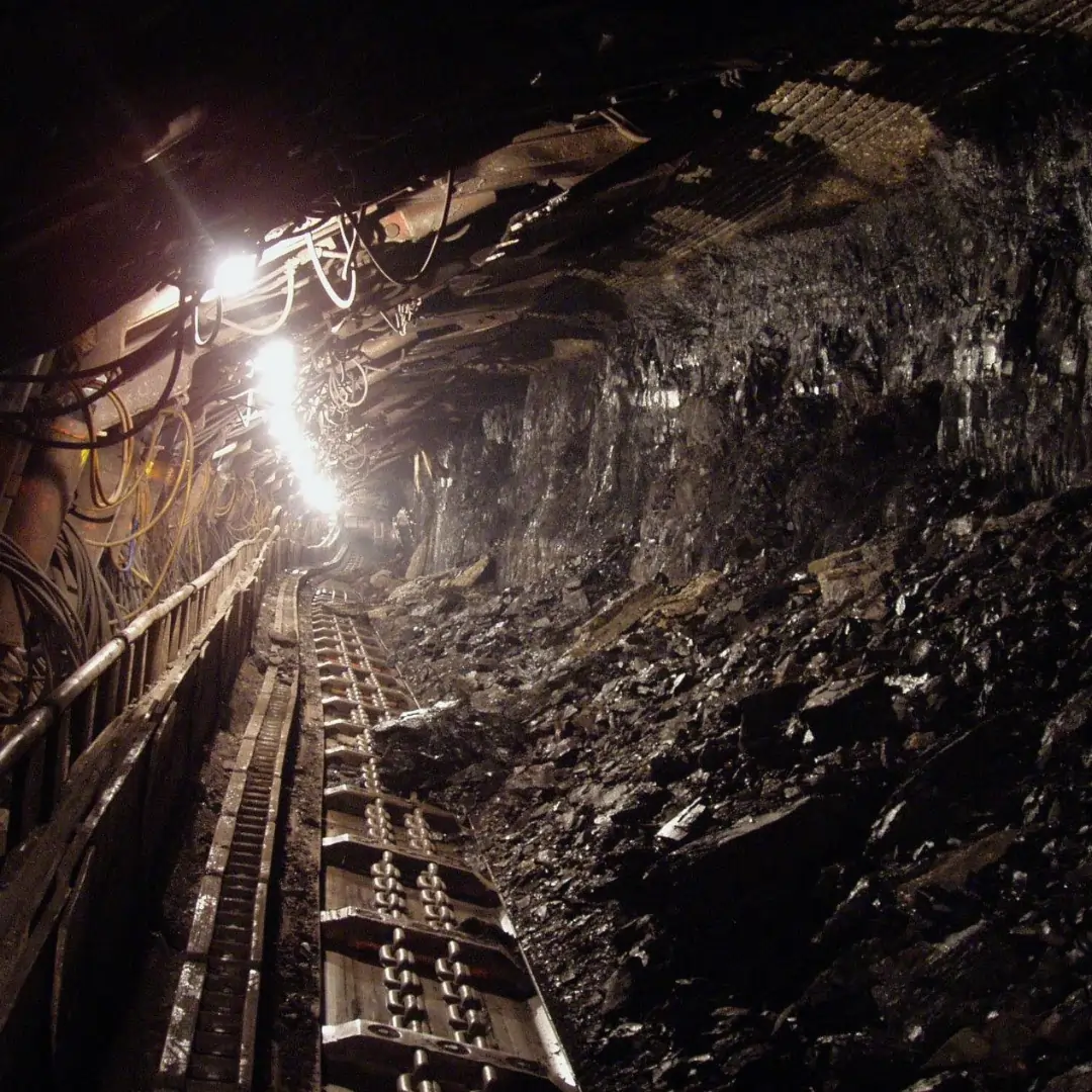 India and Japan Join