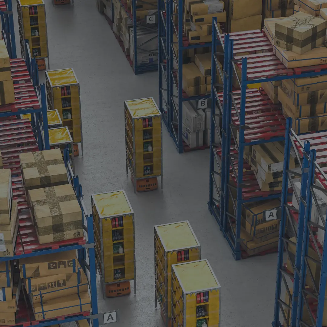 Indian Supply Chains