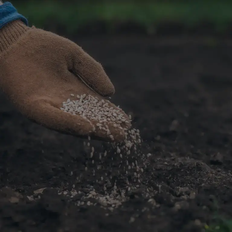 India Ramps Up Fertiliser Imports