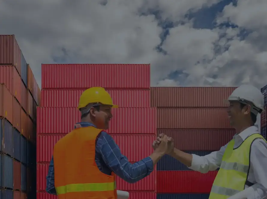 India Ramps Up Fertiliser Imports