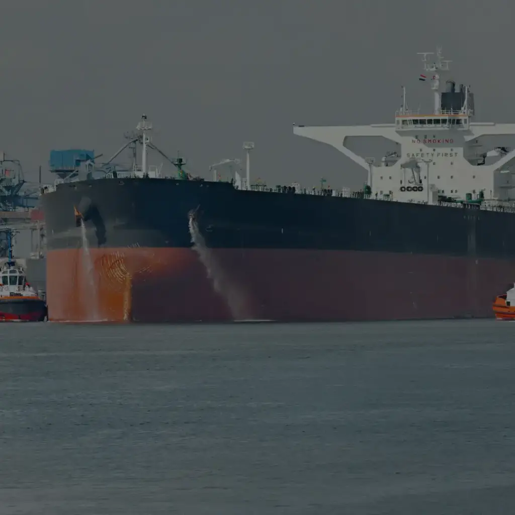 India Condemns Attacks on Ships in Hormuz