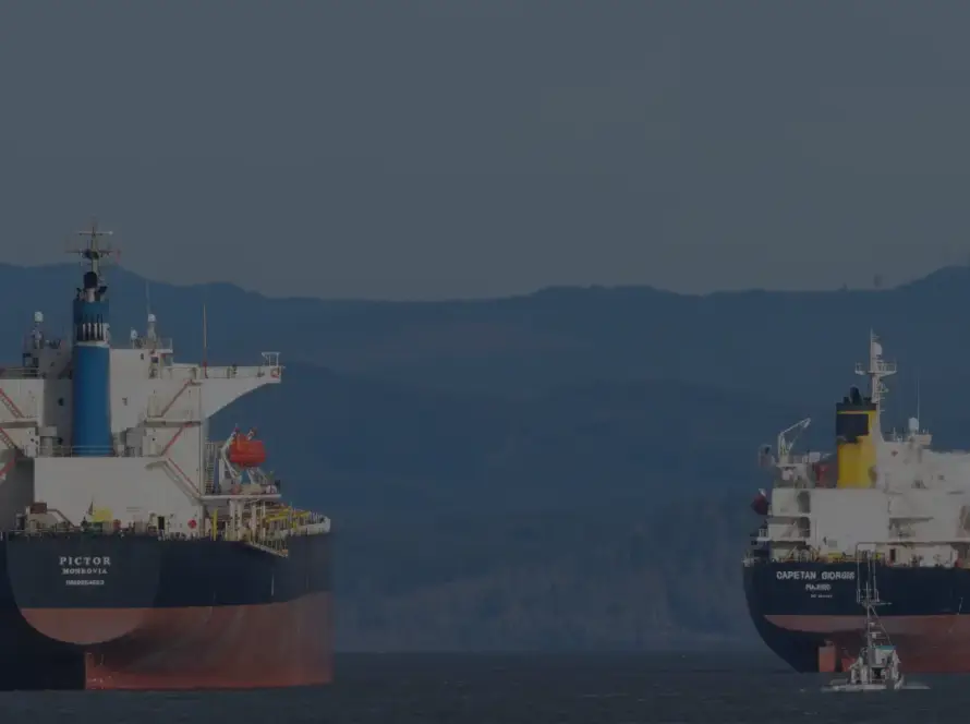India Urges Action to Secure Hormuz