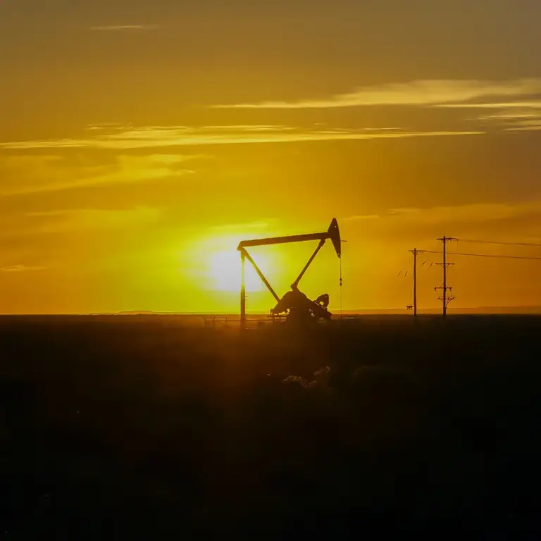 Saudi Arabia & Russia