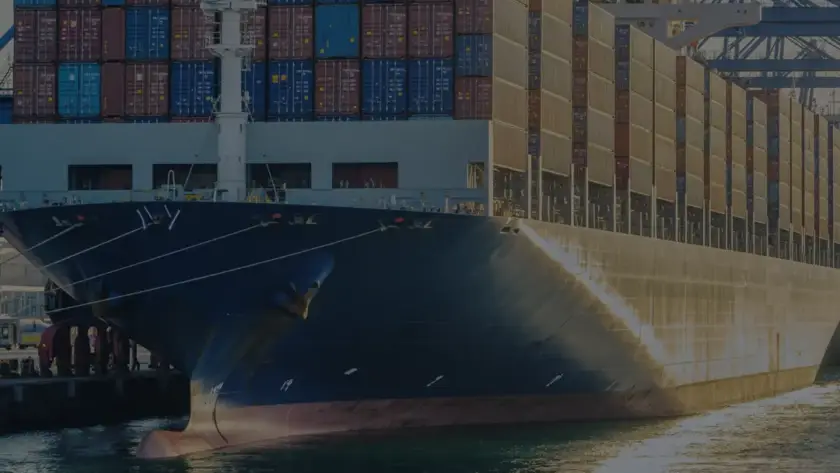 India May Cut Import Duties