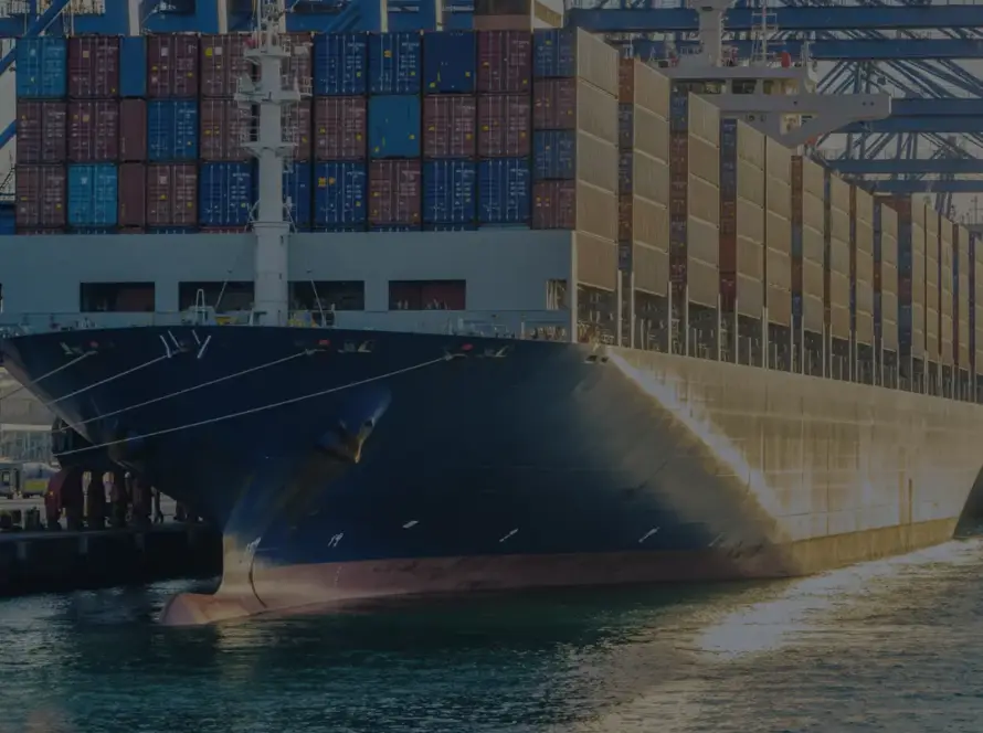 India May Cut Import Duties